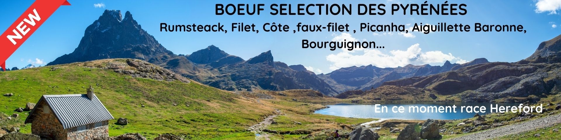 Boeuf Sélection des Pyrénées